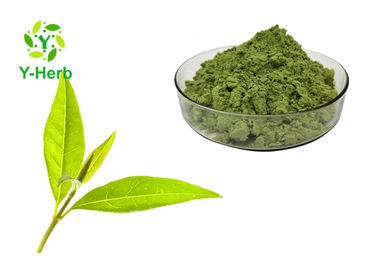 Food Grade Macha Tea Powder Instant Culinary Grade Green Tea Powder For Bakery