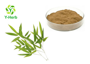 80 - 200 Mesh Herbal Extract Powder Pure Natural Lophatherum Leaf Extract Powder