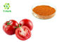 Raw Vegetable Extract Powder AD Spray Dried Dehydrated Tomato Powder
