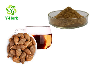 Boat - Fruited Sterculia / Scaphium Scaphigerum / Sterculia Scaphigera Extract Powder