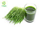 Spray Drying Fresh Wheat Grass Juice Powder Water Soluble Cool Dry Place Storage