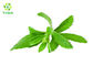 Food Grade Sweetener Herbal Extract Powder Stevia Extract Steviosides Powder 30% - 99%