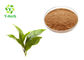 Organic Green Tea Extract Powder Tea Polyphenols 98% 40% 20% Oil Soluble 84650-60-2