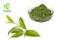 Health Product Organic Matcha Powder 100% Water Soluble Natural Food Additives