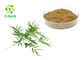 Healthcare Herbal Extract Powder Bamboo Extract Powder Flavone 10% 20% 30%